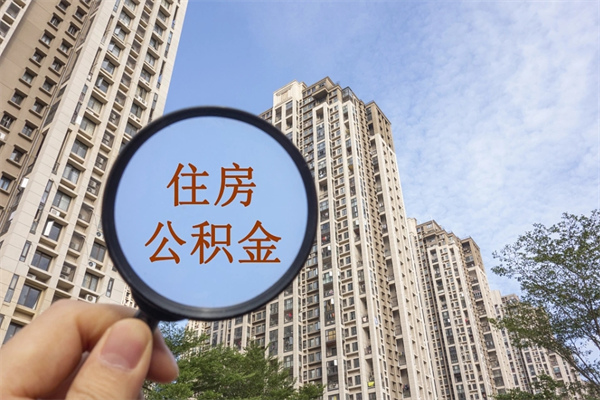 蚌埠辞职了补充公积金能取不（辞职后补充公积金如何提取）